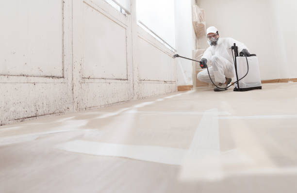24/7 Emergency Commercial Mold Remediation experts in Tampa, FL